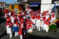 rosenmontagszug_2011_20110313_1083514531