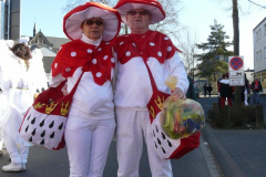rosenmontagszug_2011_20110313_1337260456