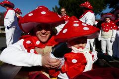 rosenmontagszug_2011_20110313_1433758546