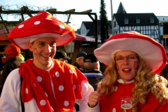 rosenmontagszug_2011_20110313_1919425939