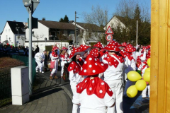 rosenmontagszug_2011_20110313_2056967254