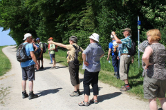tour_muenchen_2014_20140619_2020495593